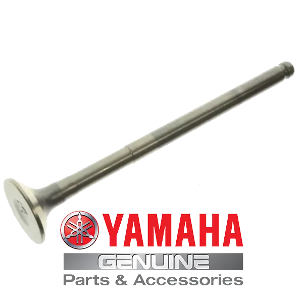 VALVULA ADMISION YW125